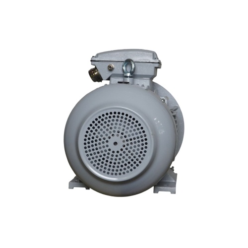 Эл.двигатель ESQ PR 160 L2-SDN-Б1-S12-IE2 18.5/3000 IM B35 фото 8