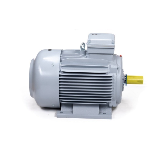 Эл.двигатель ESQ PR 280 M4-SDN-Б1-S12-IE2 90/1500 IM B3 фото 3